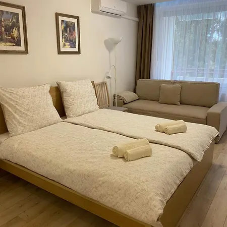 Apartament Vizipok *