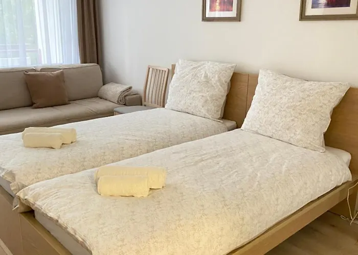 Vizipok Apartament *