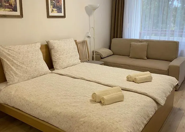 Apartament Vizipok *